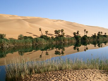 Ubari Oasis in southwestern Libya