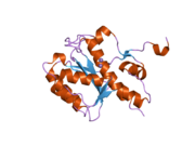 2fbv: WRN exonuclease, Mn complex
