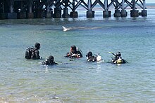 Scuba diving lessons in the bay, near Monterey, California