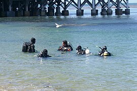 Monterey - Scuba diving lessons in Monterey Bay