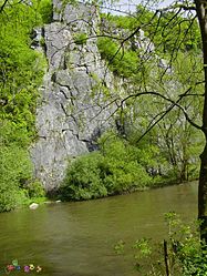 Rocks in the Ourthe near Sy