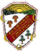 1924 proposed coat of arms