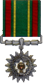 [D] Army Meritorious Service Star