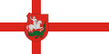 Flag of Tatárszentgyörgy