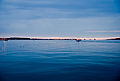 Um 22.35 Uhr nächtliche Sommersonnenwende am Nordhorizont der Kieler Förde; rechts das Marine-Ehrenmal Laboe.