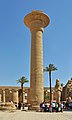 The famous column of Taharqa with open papyrus capital, in Karnak, Thebes (one remaining of ten).[62]