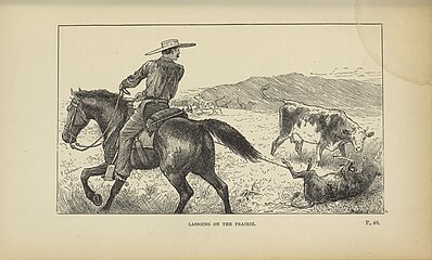 Lassoing on the prairie (from the book Prairie Experiences in Handling Cattle and Sheep, by Major W. Shepherd, 1884)