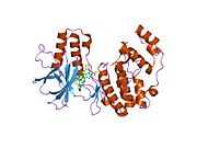 2ewa: Dual binding mode of pyridinylimidazole to MAP kinase p38