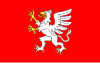 Flag of Dębica