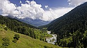 The Pahalgam valley in Jammu and Kashmir is covered with a temperate coniferous forest.