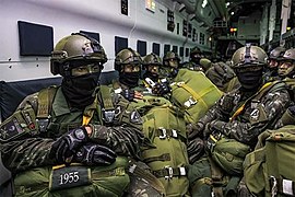 Brazilian Army Paratroopers