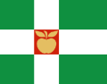Flag of Türi Parish