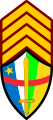 Sergent-major (Central African Ground Forces)