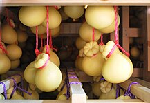 Straddled forms of caciocavallo hang to mature