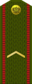 Яфрэйтар Jafrejtar (Belarusian Ground Forces)[22]