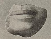 Piece of statue showing a mouth