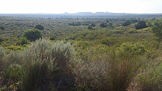 Antelope Hills im Hintergrund