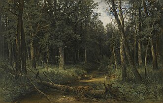 The Dark Wood, 1876