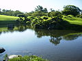 The spring-fed pond at Suizen-ji Jōju-en garden (1636), whose water was reputed to be excellent for making tea