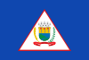 Flag of Machado, Minas Gerais