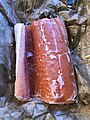 Approximately 1.80 lbs or 0.8 kilograms of frozen, farm raised, Atlantic salmon fillet