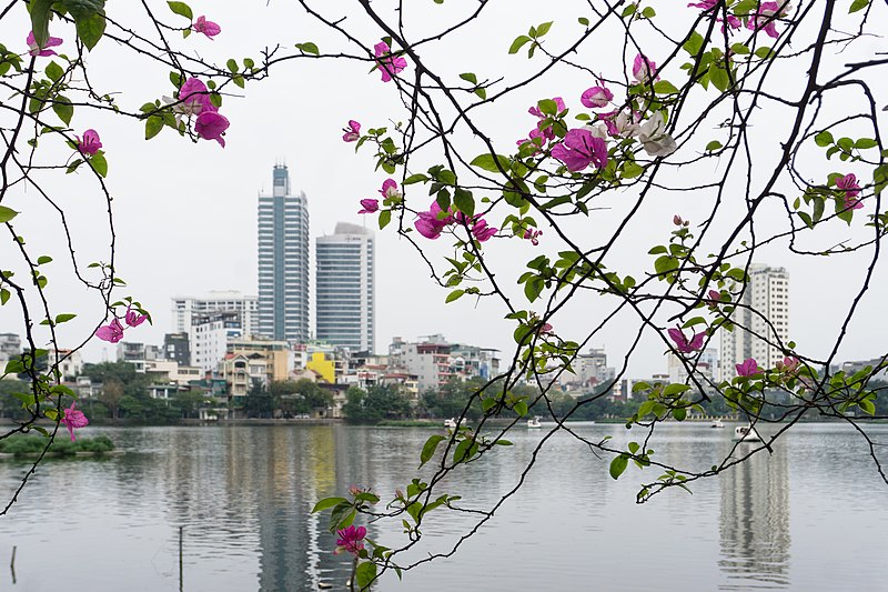 Hanoi, 10 March 2019.jpg