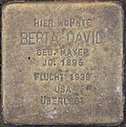 Stolperstein für Berta David, Meisenheim