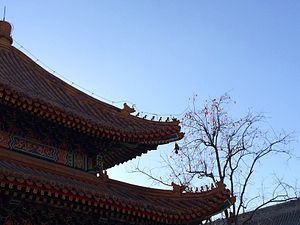 Roof at Yonghe Temple