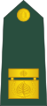Brigadir (Slovenian Ground Force)[7]