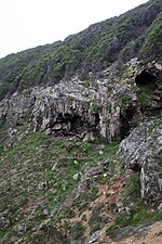 Cave entrance on a steep slope covered by vegetation