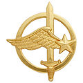 Air Force Commando's Badge