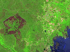 This image shows a large area burned by a forest fire, which appears as dark pink ring-shaped patch at the left side of the image