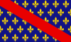 Flag of Bourbonnais