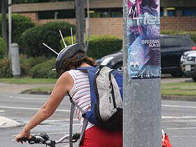Cyclist wearing a helmet with "spikes" to ward off diving magpies