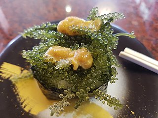 Umi-budō sushi