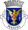 Coat of arms of Penafiel