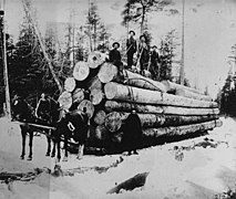 Logs loaded with cant hooks which three of the men are holding.