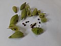 Seeds of Impatiens balsamina