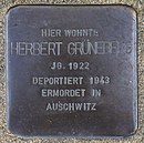 Herbert Grüneberg