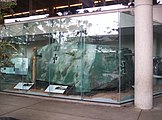 Der A7V 506 „Mephisto“ an seinem alten Standort, den er von 1986 bis 2011 im australischen Queensland Museum, Brisbane, innehatte. Aufgesprühte Anstriche, wie sie hier gezeigt werden, gab es im Ersten Weltkrieg noch nicht.
