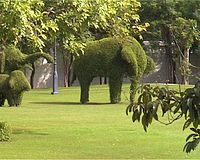 Topiary elephants at Bang Pa-In Royal Palace