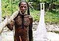 Image 28Yali tribesman in the Baliem Valley (from New Guinea)