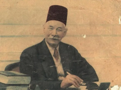 Ismail Pasha Abaza