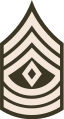 First sergeant (United States Army)[24]