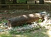 Log coffin burial, reconstruction.[40][41]