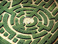 Image 27Labyrinth maze of Barvaux, Durbuy, Belgium (from List of garden types)