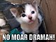 Kitten, with meme phrase, "No more drama!"
