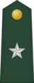 Brigadier general (Philippine Army)[43]
