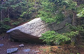 A wedge-shaped boulder peeking out from behind an evergreen tree, with a small area lit by the sun. Behind it are more densely packed evergreens.