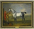 Starling, the Duke of Bolton's grey colt, foaled 1727, by Thomas Spencer (1700-1763).
